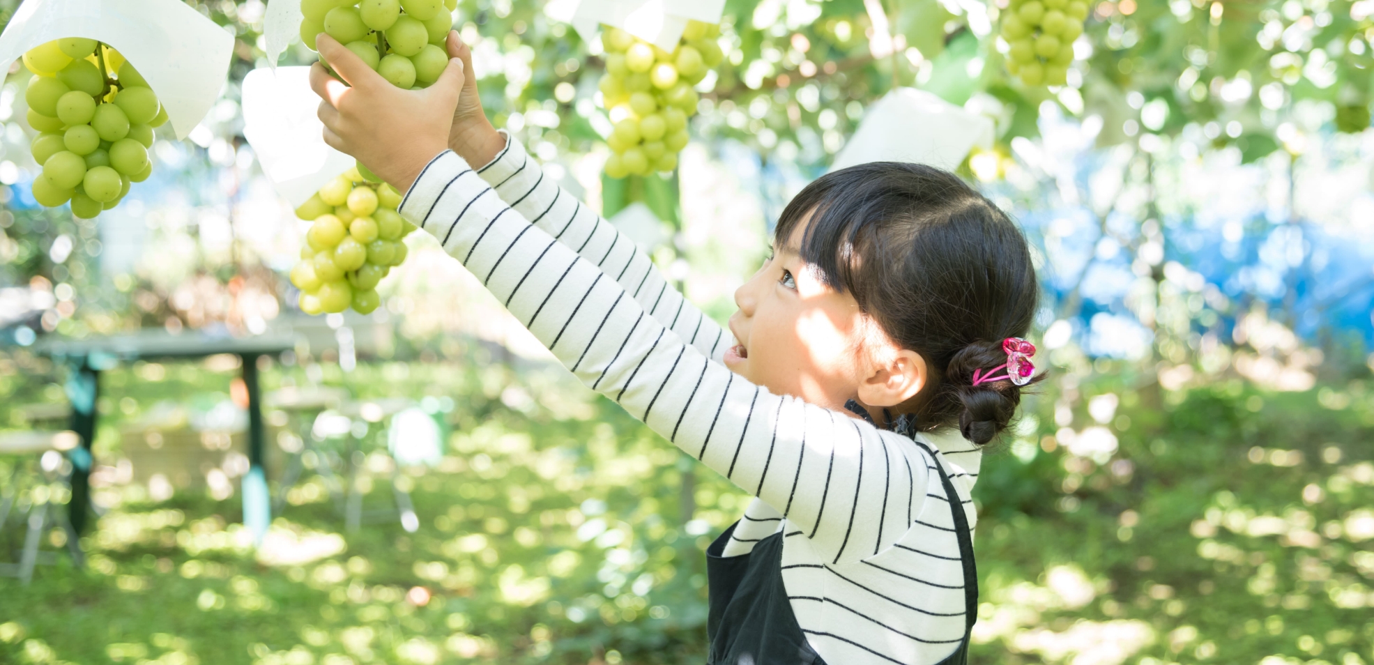 スライダー画像