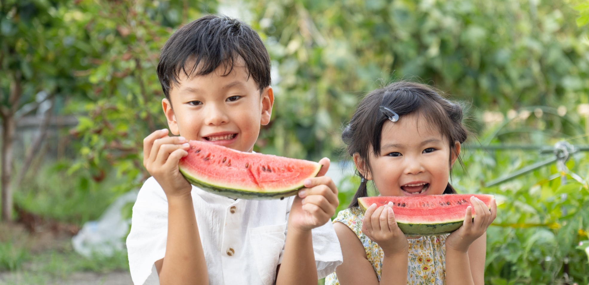 スライダー画像