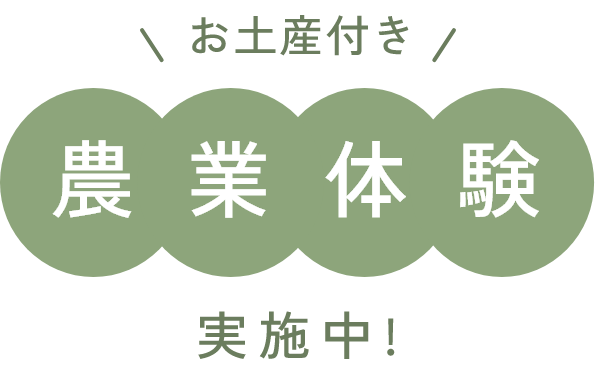 お土産付き 農業体験実施中！