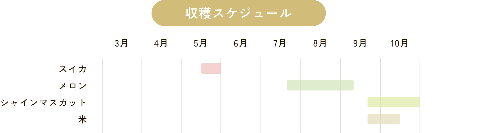 収穫スケジュール
