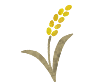 玄米のイラスト