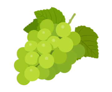 シャインマスカットのイラスト